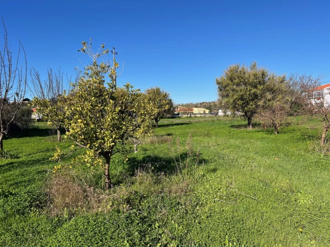 Terreno para Venda em Paderne Foto 29