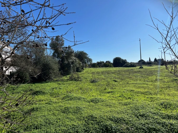 Terreno para Venda em Paderne Foto 5