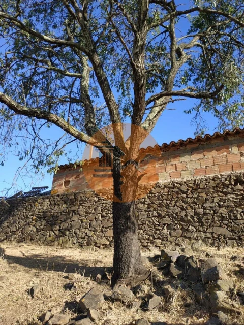 Terreno para Venda em Odeleite