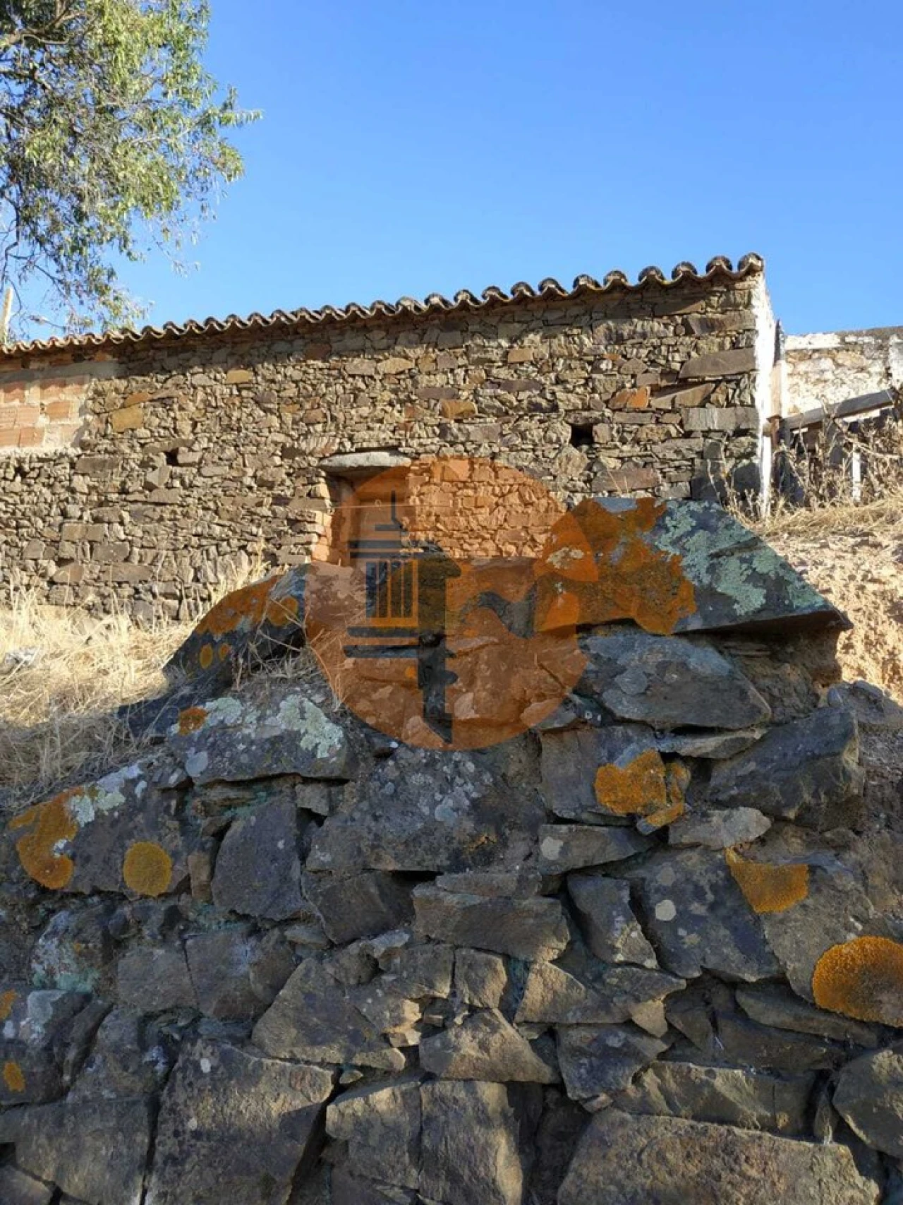 Terreno para Venda em Odeleite Foto 3