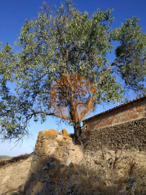 Terreno para Venda em Odeleite