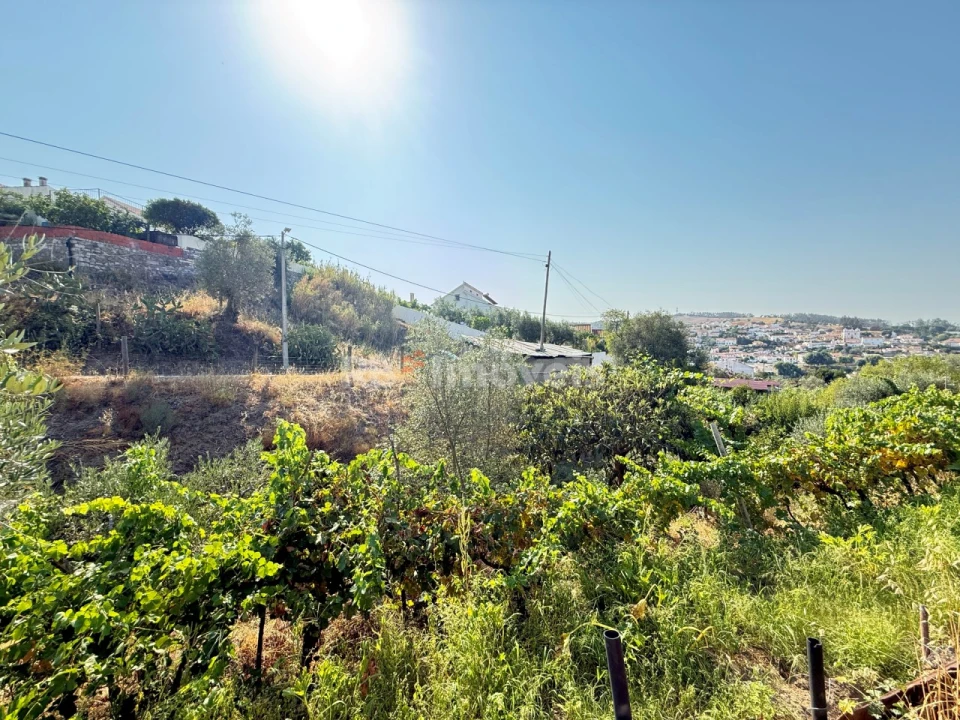 Terreno Agricola ou Rústico para Venda em Tancos Foto 1