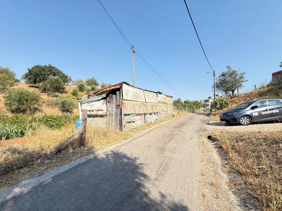 Terreno Agricola ou Rústico para Venda em Tancos Foto 20