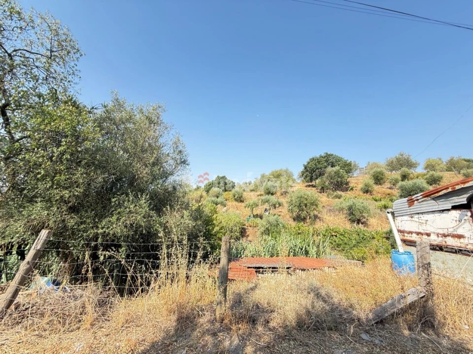Terreno Agricola ou Rústico para Venda em Tancos Foto 22