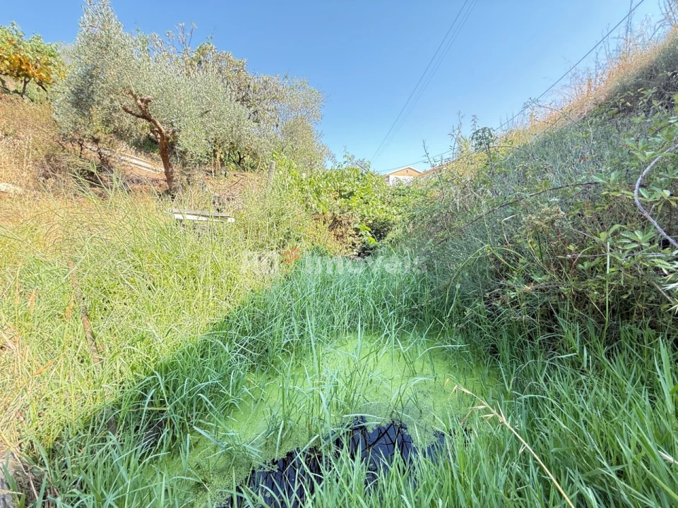 Terreno Agricola ou Rústico para Venda em Tancos Foto 33