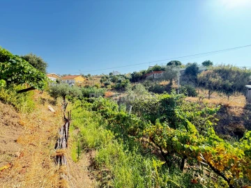 Terreno Agricola ou Rústico para Venda em Tancos