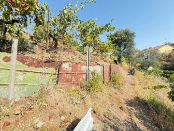 Terreno Agricola ou Rústico para Venda em Tancos
