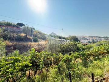 Terreno Agricola ou Rústico para Venda em Tancos