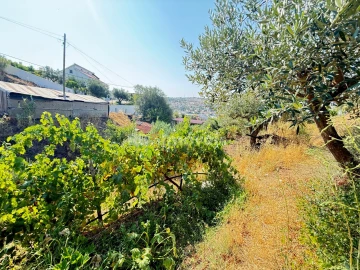 Terreno Agricola ou Rústico para Venda em Tancos