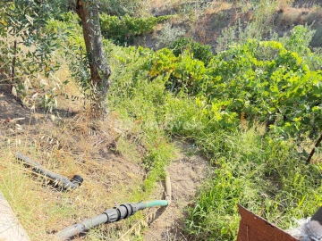 Terreno Agricola ou Rústico para Venda em Tancos