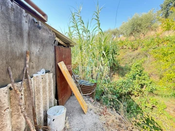 Terreno Agricola ou Rústico para Venda em Tancos