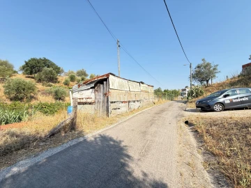 Terreno Agricola ou Rústico para Venda em Tancos
