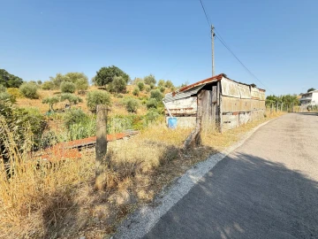 Terreno Agricola ou Rústico para Venda em Tancos