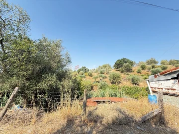 Terreno Agricola ou Rústico para Venda em Tancos