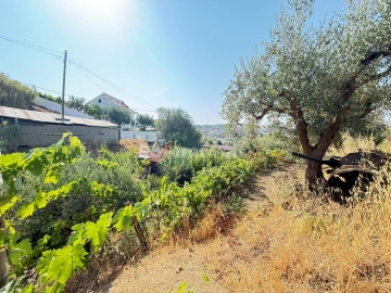 Terreno Agricola ou Rústico para Venda em Tancos