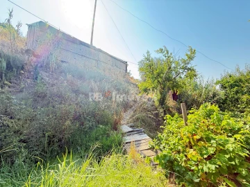 Terreno Agricola ou Rústico para Venda em Tancos