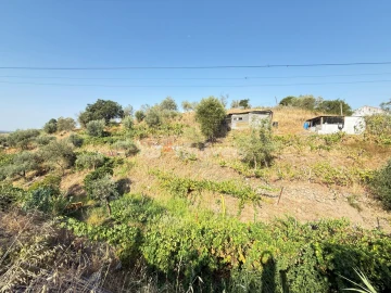 Terreno Agricola ou Rústico para Venda em Tancos