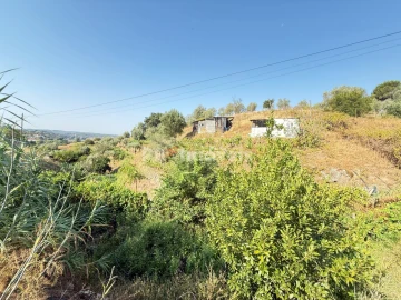 Terreno Agricola ou Rústico para Venda em Tancos