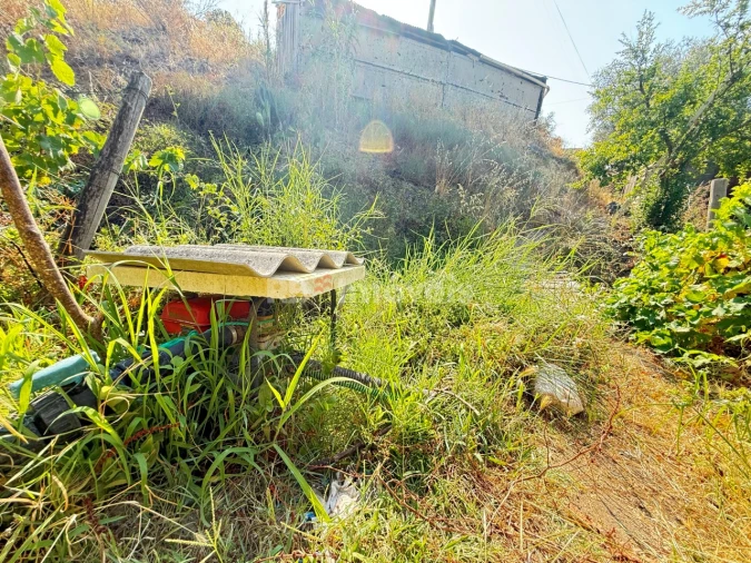 Terreno Agricola ou Rústico para Venda em Tancos Foto 17