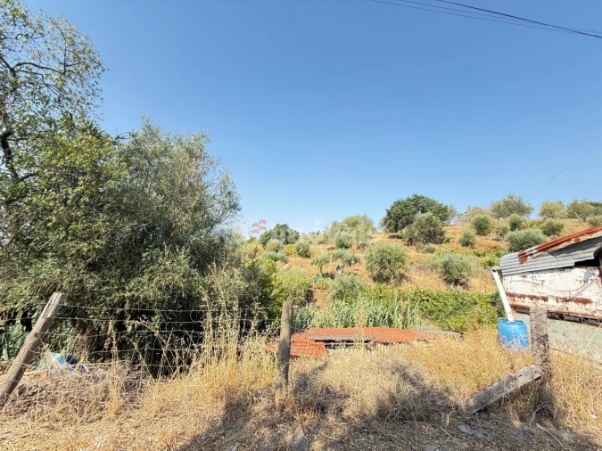 Terreno Agricola ou Rústico para Venda em Tancos Foto 22