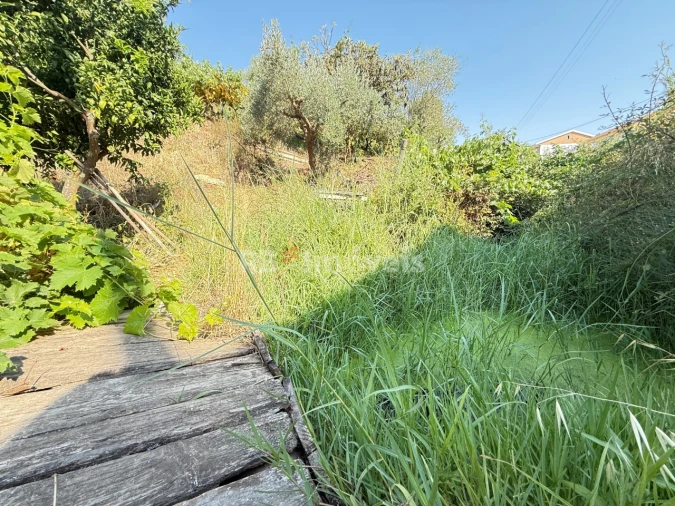 Terreno Agricola ou Rústico para Venda em Tancos Foto 32