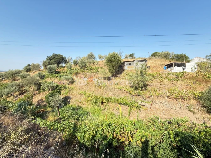 Terreno Agricola ou Rústico para Venda em Tancos Foto 34