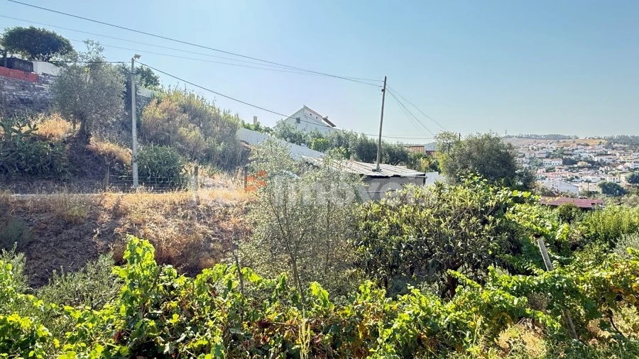 Terreno Agricola ou Rústico para Venda em Tancos