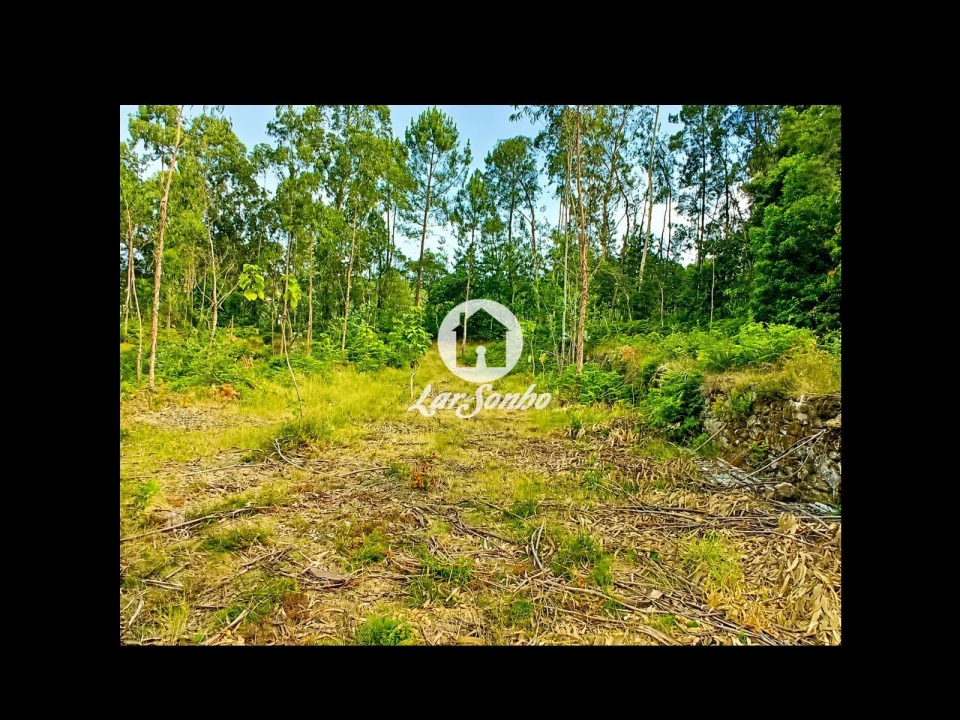 Terreno Agricola ou Rústico para Venda em Quintiães e Aguiar Foto 17
