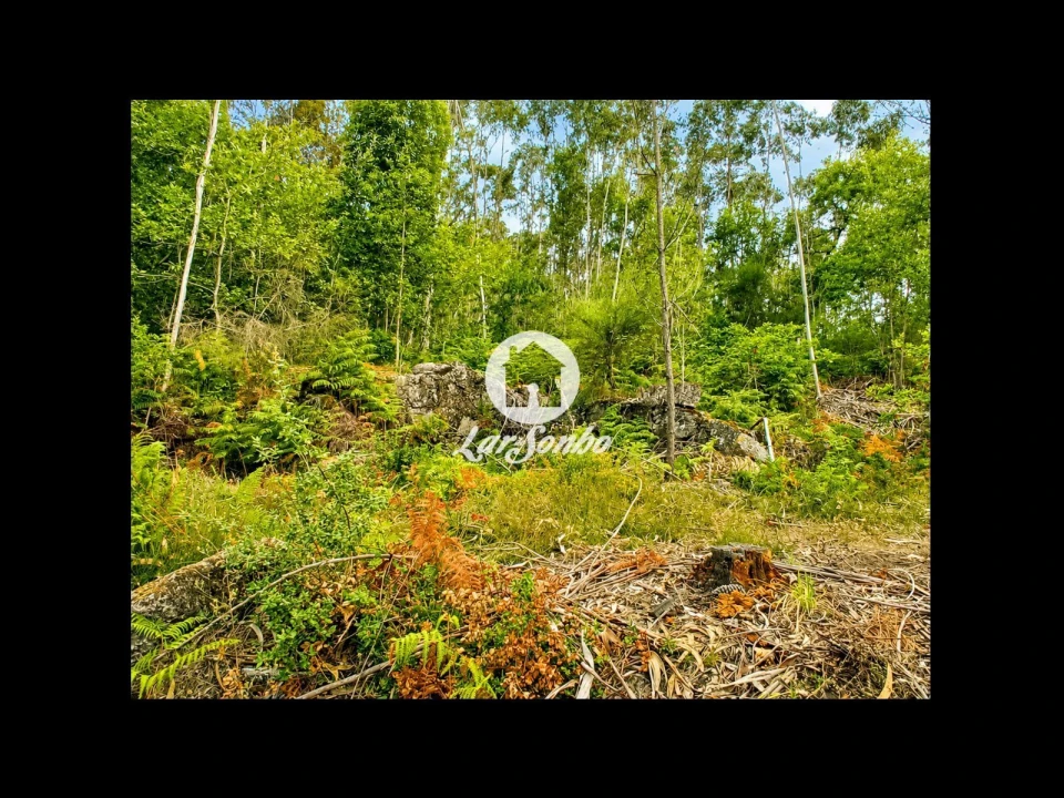 Terreno Agricola ou Rústico para Venda em Quintiães e Aguiar Foto 18