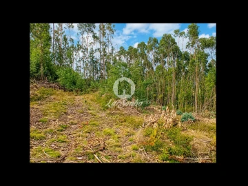 Terreno Agricola ou Rústico para Venda em Quintiães e Aguiar