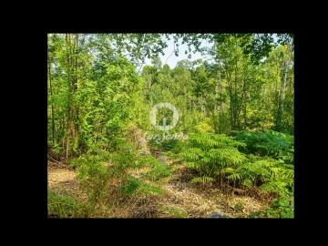 Terreno Agricola ou Rústico para Venda em Quintiães e Aguiar