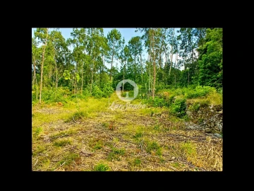Terreno Agricola ou Rústico para Venda em Quintiães e Aguiar