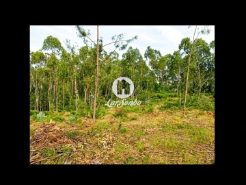 Terreno Agricola ou Rústico para Venda em Quintiães e Aguiar