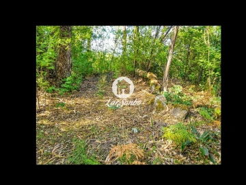 Terreno Agricola ou Rústico para Venda em Quintiães e Aguiar