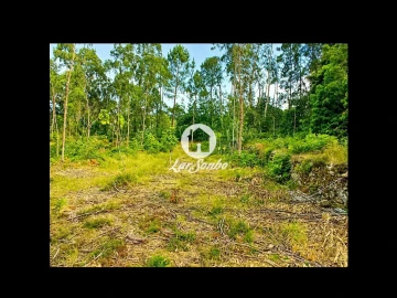 Terreno Agricola ou Rústico para Venda em Quintiães e Aguiar