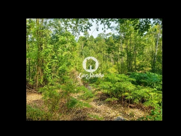Terreno Agricola ou Rústico para Venda em Quintiães e Aguiar