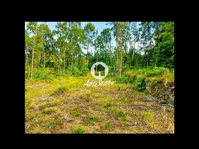 Terreno Agricola ou Rústico para Venda em Quintiães e Aguiar Foto 17