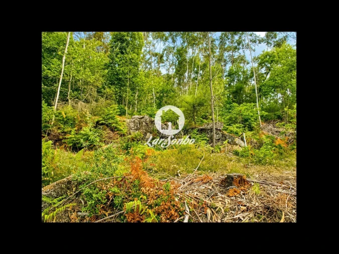 Terreno Agricola ou Rústico para Venda em Quintiães e Aguiar Foto 18