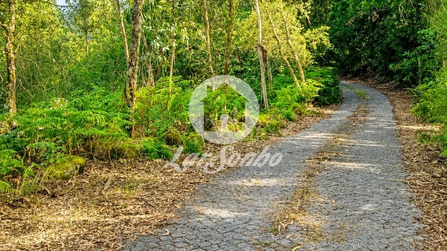 Terreno Agricola ou Rústico para Venda em Quintiães e Aguiar