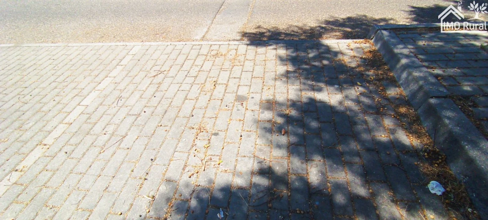 Terreno para Venda em Marvila, Ribeira Santarém, São Salvador, São Nicolau Foto 7