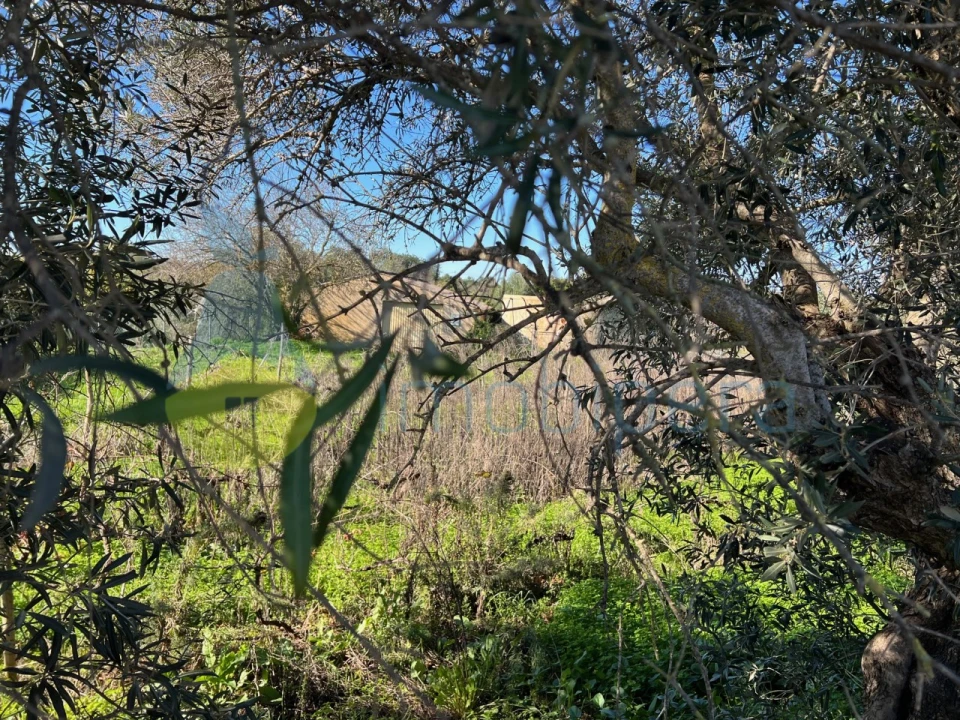 Terreno Misto para Venda em Paderne Foto 8