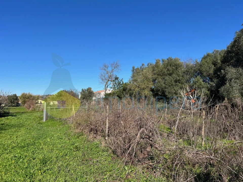 Terreno Misto para Venda em Paderne Foto 6
