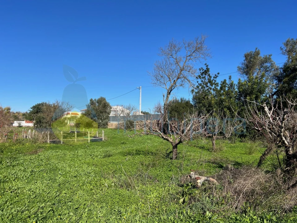Terreno Misto para Venda em Paderne Foto 11