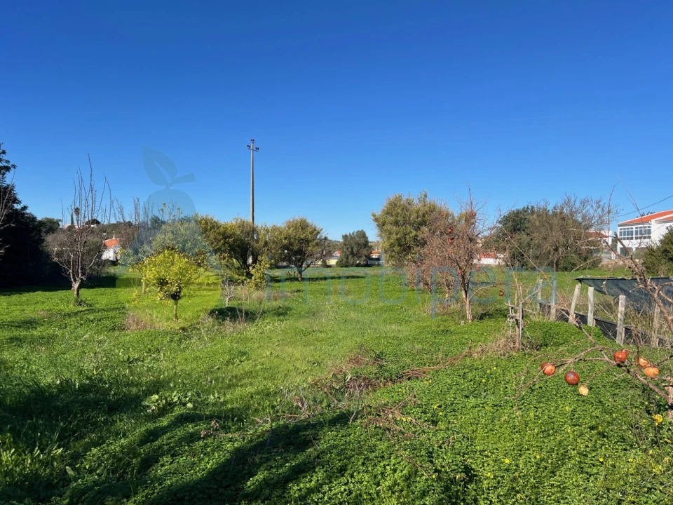 Terreno Misto para Venda em Paderne Foto 4