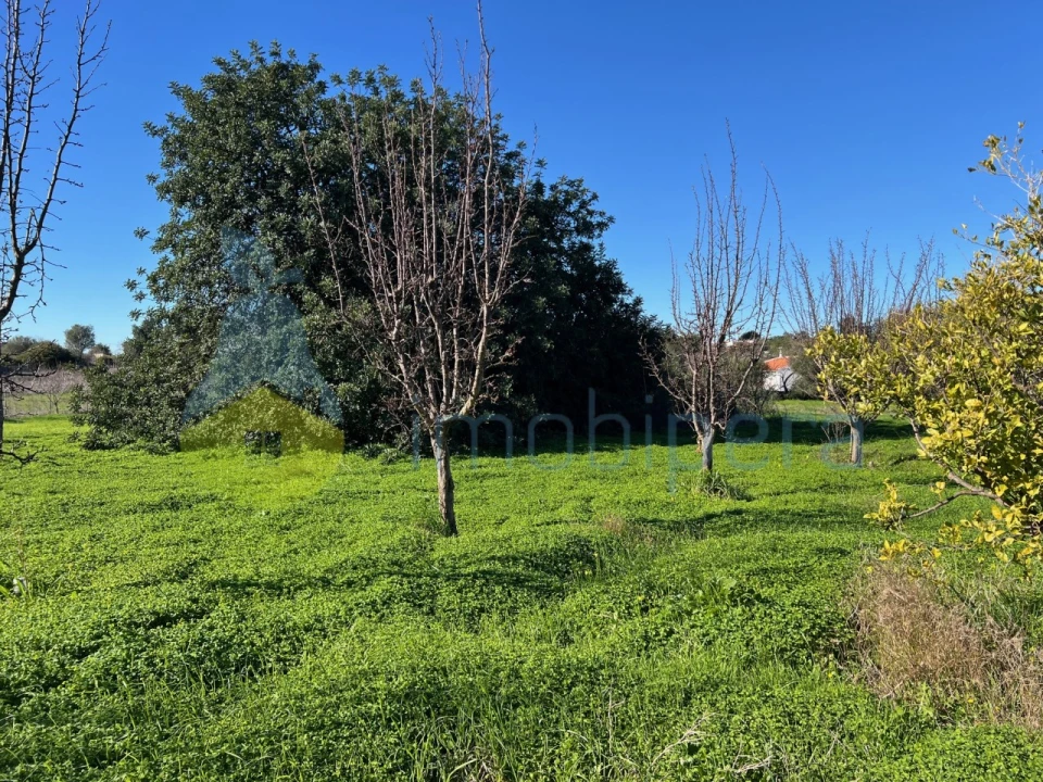 Terreno Misto para Venda em Paderne Foto 25
