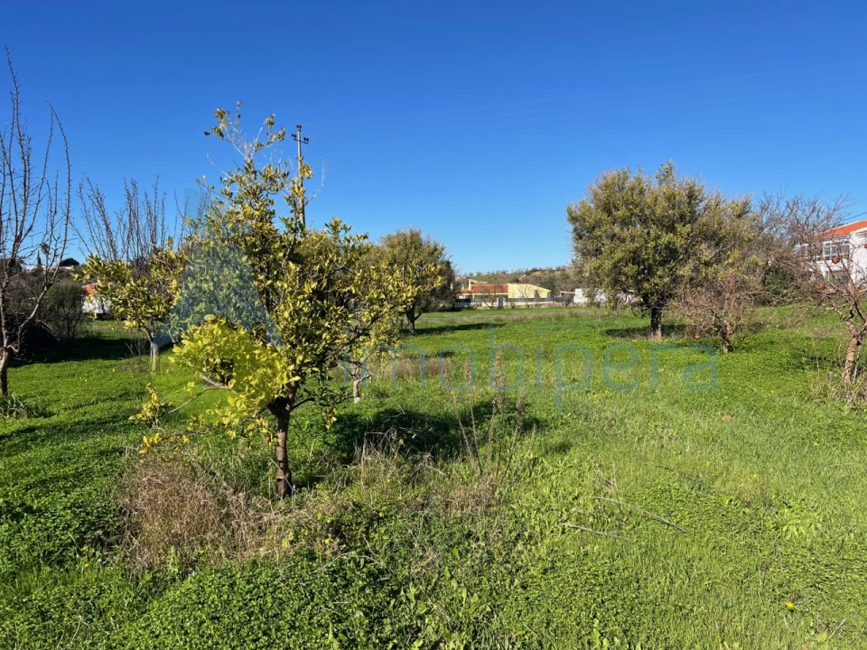 Terreno Misto para Venda em Paderne Foto 29