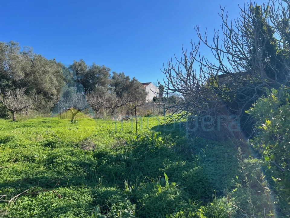 Terreno Misto para Venda em Paderne Foto 31