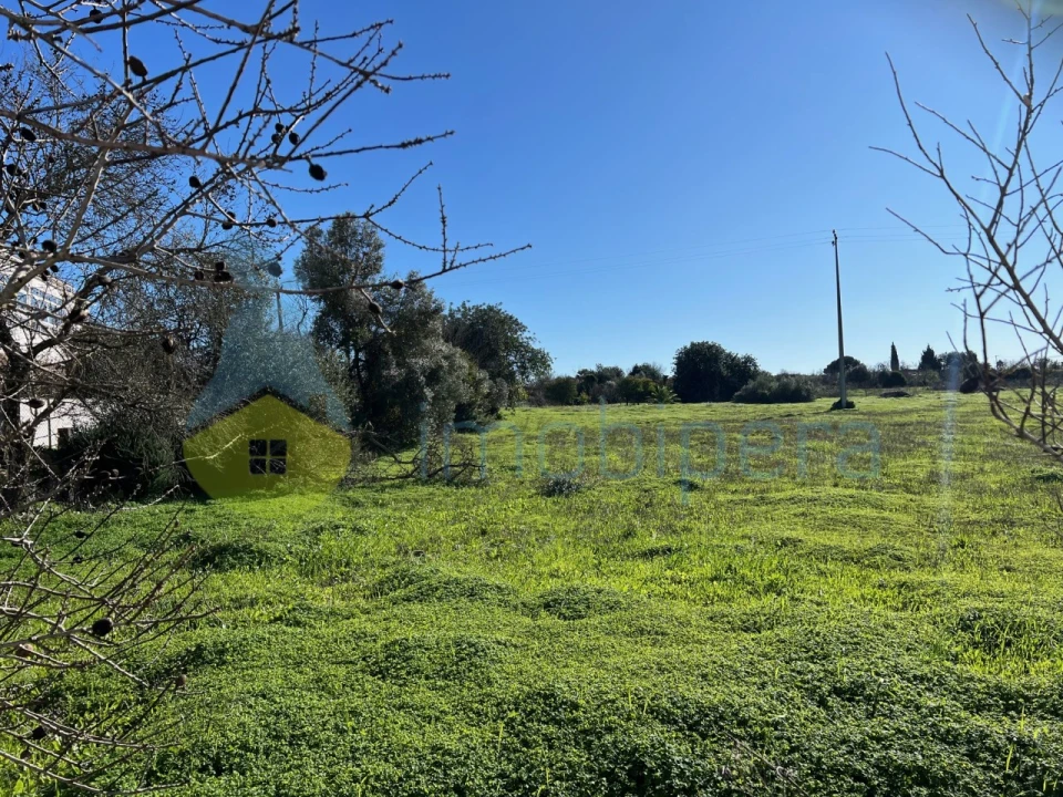 Terreno Misto para Venda em Paderne Foto 5