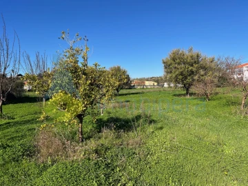 Terreno Misto para Venda em Paderne