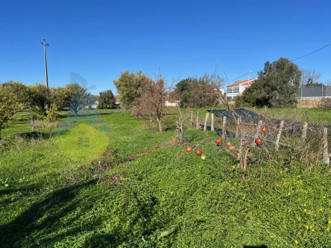 Terreno Misto para Venda em Paderne Foto 23